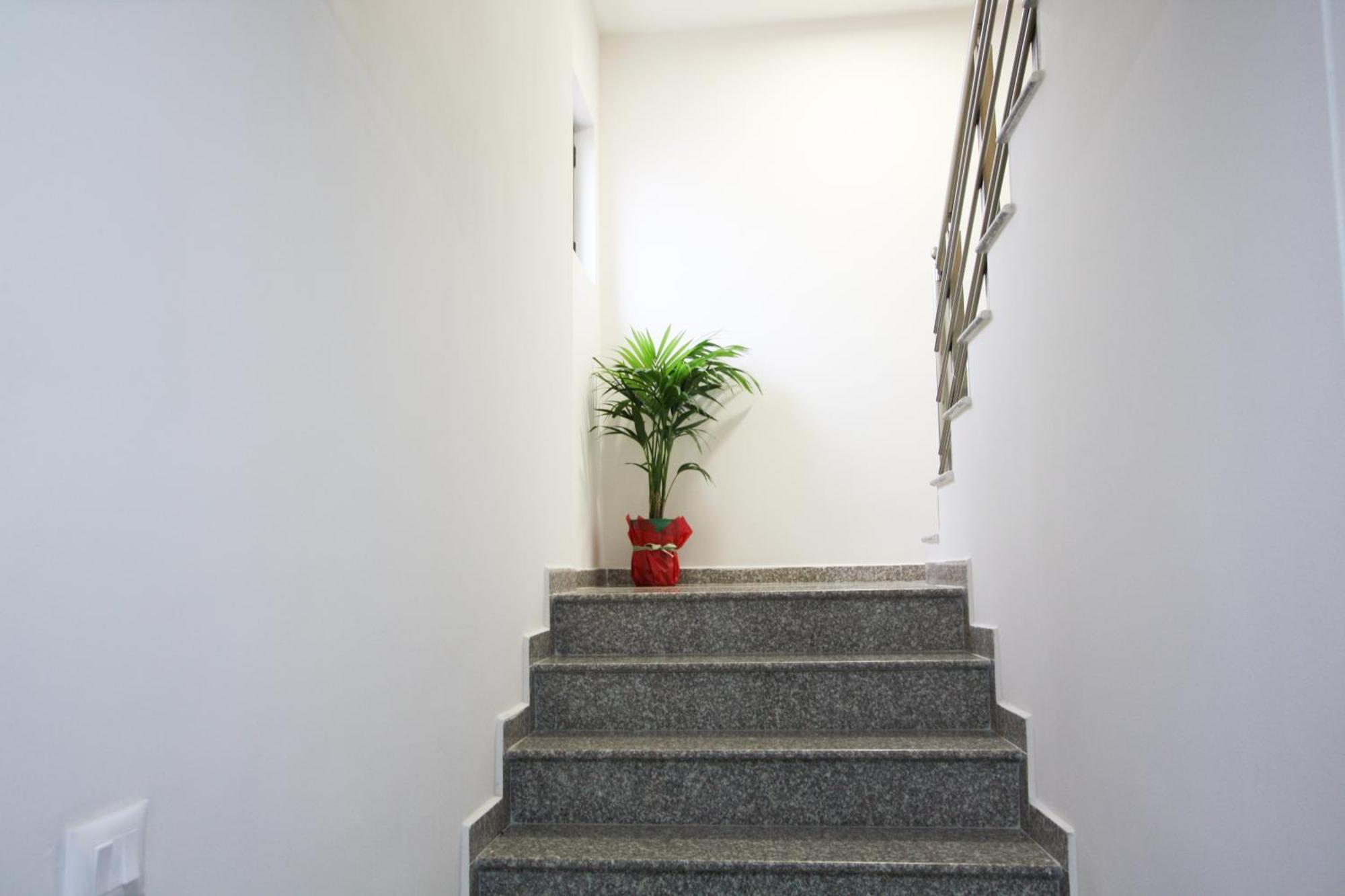 Reve De 3* Tirana